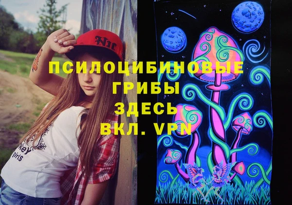 спиды Аркадак